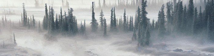 shutteVpsmWZEomD9v ce